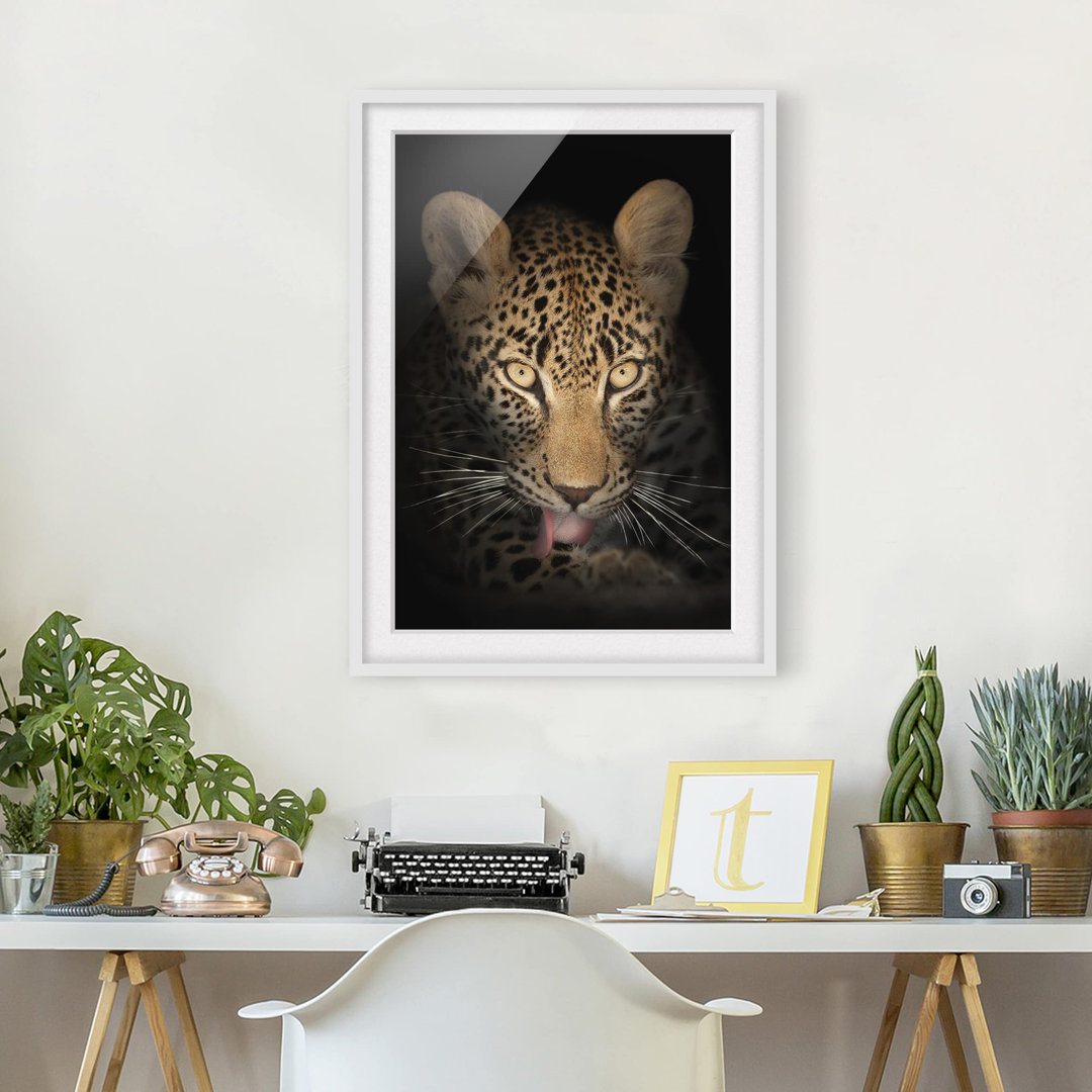 Gerahmtes Poster Resting Leopard