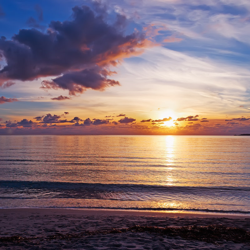 Eudy Sunset By The Sea by AlKane - Wrapped Canvas Print, 30cm H x 30cm W x 3.8cm D