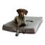 Lindholm Orthopedic Pillow Dog Bed-1962743111-1930434869