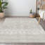 Tapis intérieur / extérieur Lamanna avec envers antidérapant-96066949