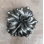Botanical Novelty Knob