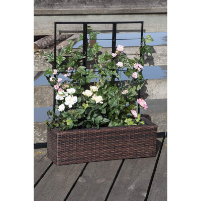 Resin Wicker Planter with Trellis, Multi-tone Brown