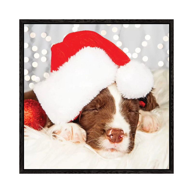 Puppy Wearing Santa Hat While Napping On II by Susan Richey - Gallery-Wrapped Canvas Giclée on Canvas, Black Framed