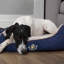 Wilton Polyester Pet Bed-1391022197-1391022192