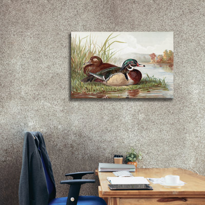«Resting Duck 2» par Stellar Design Studio, art mural sur toile, 40 po x 26 po