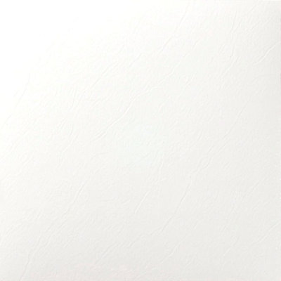 Nexus 1mm Thick 12'' W x 12'' L