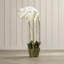 Conservatory Faux Orchid Plant