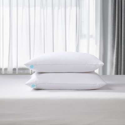 Feathers Medium Support Pillow