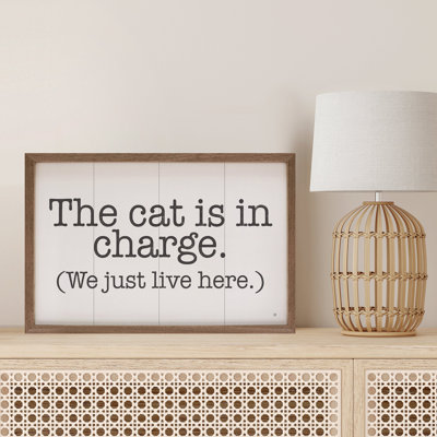 Le chat est en charge blanc
