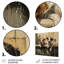 Deux chiens dans la baignoire - décoration murale pour salle de bain chien-1617268170-1617268173