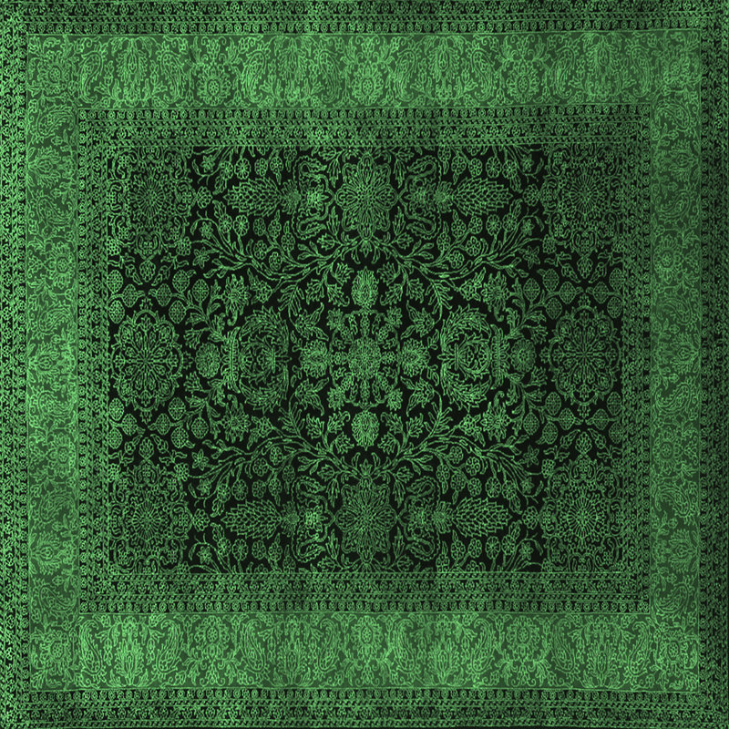 Alamgir Oriental Indoor Rug, Square 7'