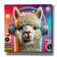 «Alpaca Party Animal» par Rey Klimt, art mural sur toile-785868408