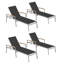 Travira Outdoor Chaise Lounge-1919204429-1919204422-1919204431