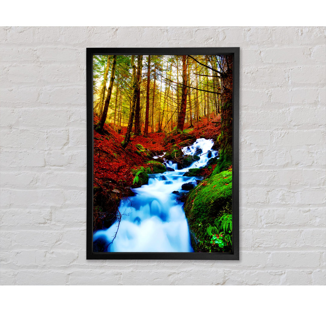 The Autumn Woodland Stream - Einzelne Bilderrahmen Kunstdrucke auf Leinwand