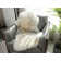 Laskett Sheepskin Indoor Rug