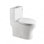 1.28 GPF Round Compact One Piece Dual-Flush Toilet with Soft-Closing Seat,MAP Flushing 1000G