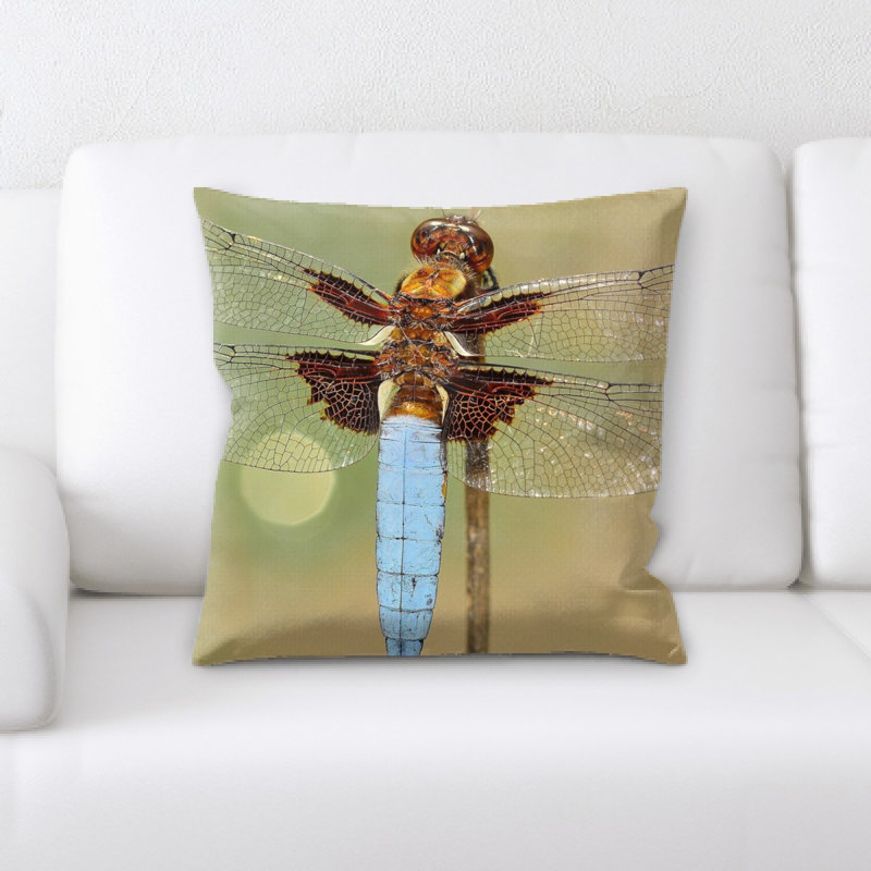 Coussin insectes