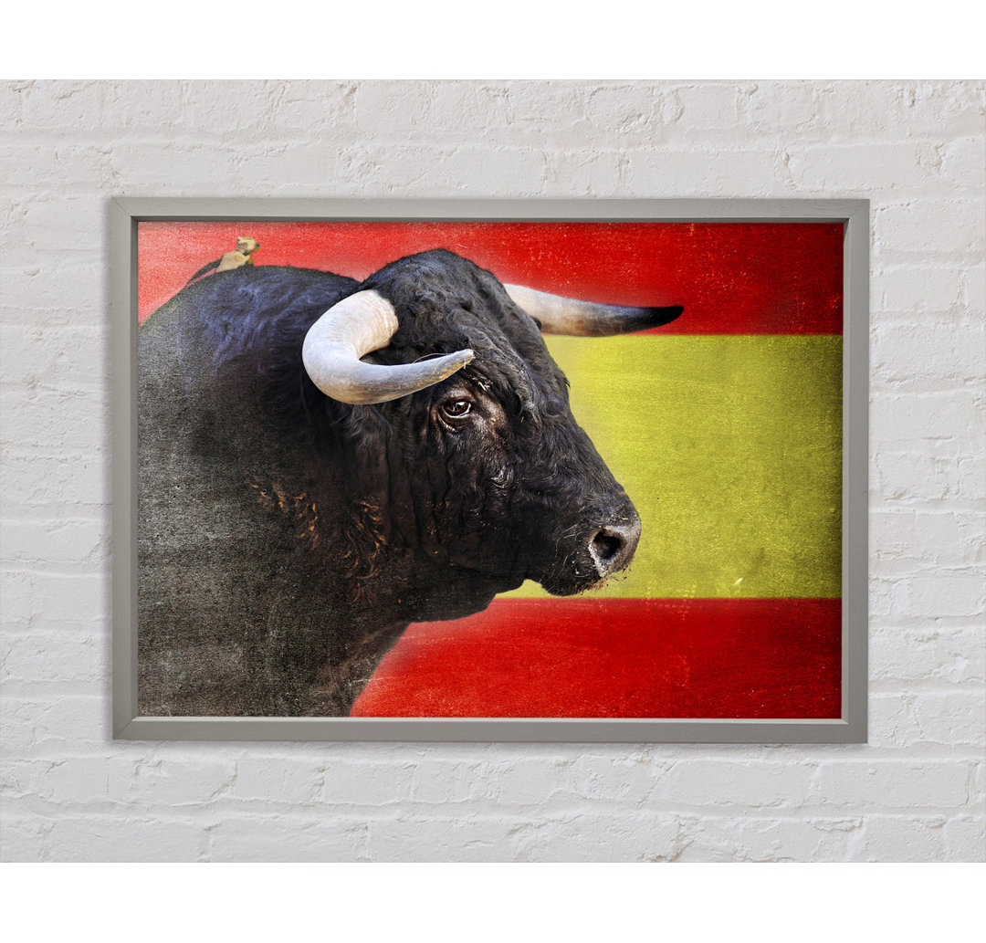 Spanischer Stier - Druck