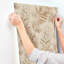 Papier peint Serenade Blush Ferns-119797051