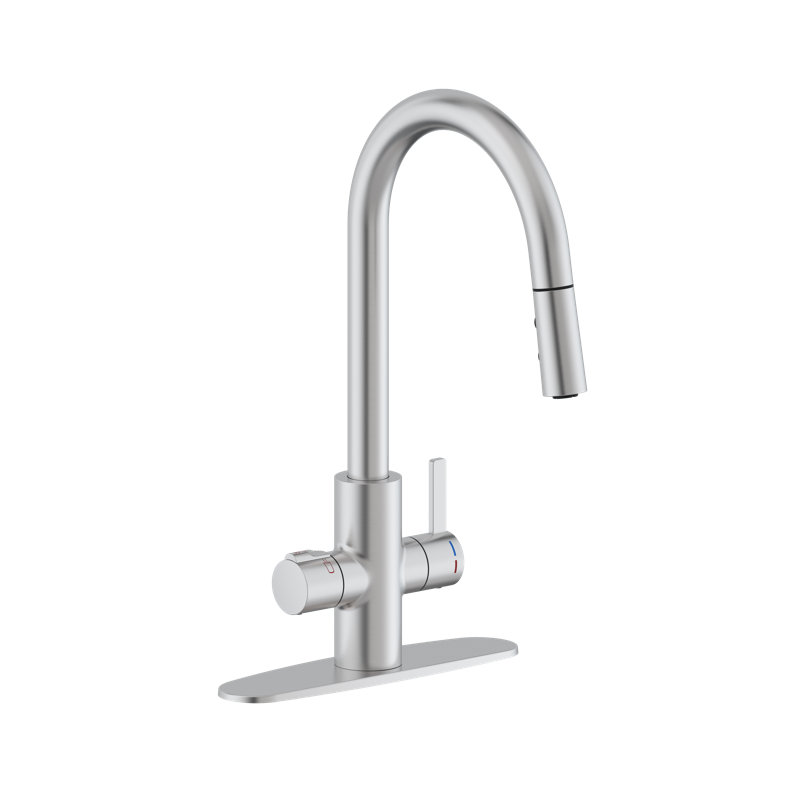 4 in 1 Single Handle Kitchen Faucet with Push Button Dual Spray Mode Pull Down Nozzle Head, Stainless Steel
