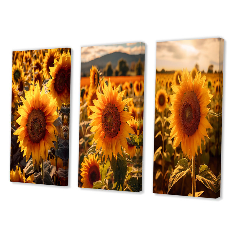 Tournesol doré au coucher du soleil - ensemble de 3 impressions, Toile tendue, H 40 po x l 60 po