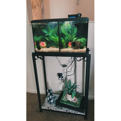 Support pour aquarium double 10 gallons (2 supports en 1), support pour aquarium, support pour cage à oiseaux, l 22,5 po x H 31 po x P 10,5 po