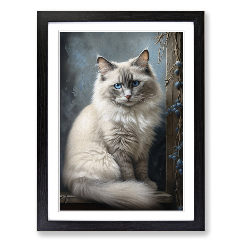 Ragdoll Cat Realism Art - Framed Print, Black Framed, 46cm H x 34cm W x 2cm D