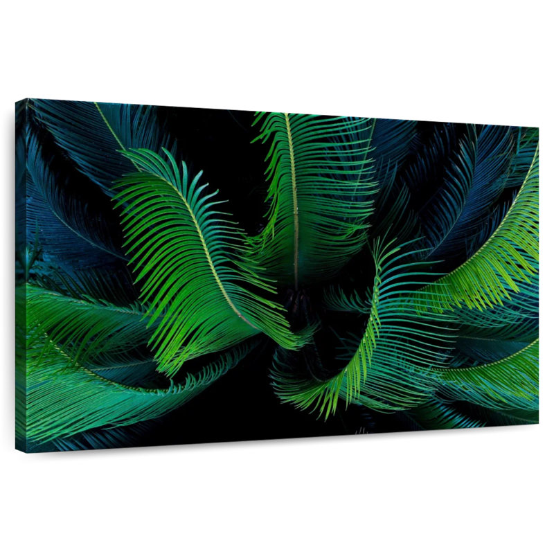 Harnek Sago Palm, H 20 po x l 30 po