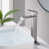 Brushed Nickel
