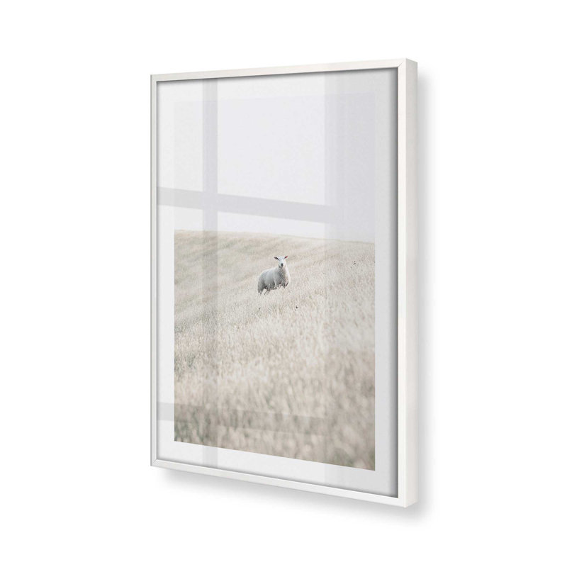 Serene Sheep Pasture, Cadre opaque blanc, H 21 po x l 17 po x P 1,25 po
