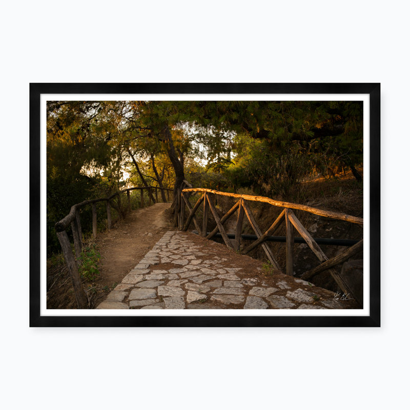 Trail To Lycabettus Print by Tim Klein