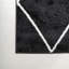 Birute Minimalist Diamond Trellis Black/White Rug-1011231256