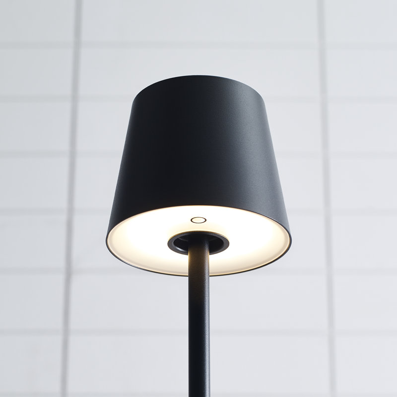 Sean Lavin Nevis Medium Rechargeable 1-Light Floor Lamp in Black with Black shade, Black