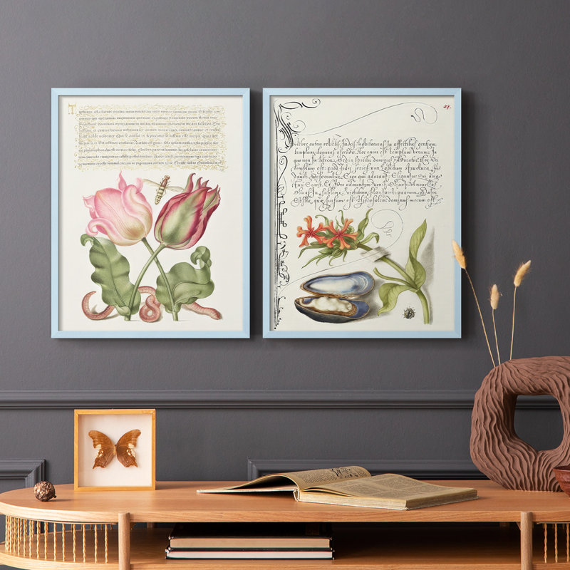 Reproduction encadrée Hoefnagel de spéculations tropicales X-Premium - prêt à être accroché - aucun clou requis - aucun clou requis