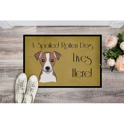 Non-Slip Outdoor Doormat