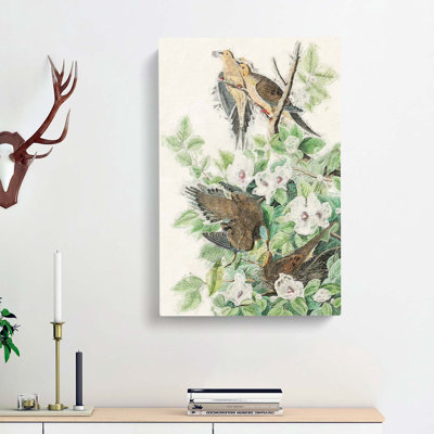 Carolina Pigeons by John Audubon - Wrapped Canvas Painting
