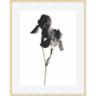 Flora Noir 4 Print by Studio L57 Narrative
