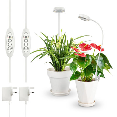 Naomi Grow Light
