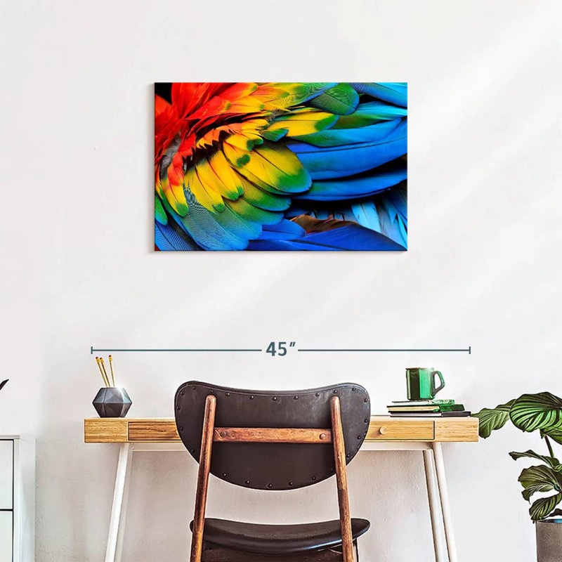 Brampt Macaw Bird Feathers, 20" H x 30" W