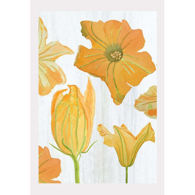 Pumpkin Flowers On Print