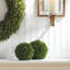 Nigel 6.5'' Boxwood Topiary