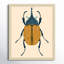«Farwell Beetle Bug II» encadré sur papier par Farwell-91292039-91292045
