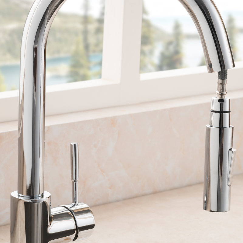 Gemini Single Handle Kitchen Faucet with Side Spray and Accessories, Chrome