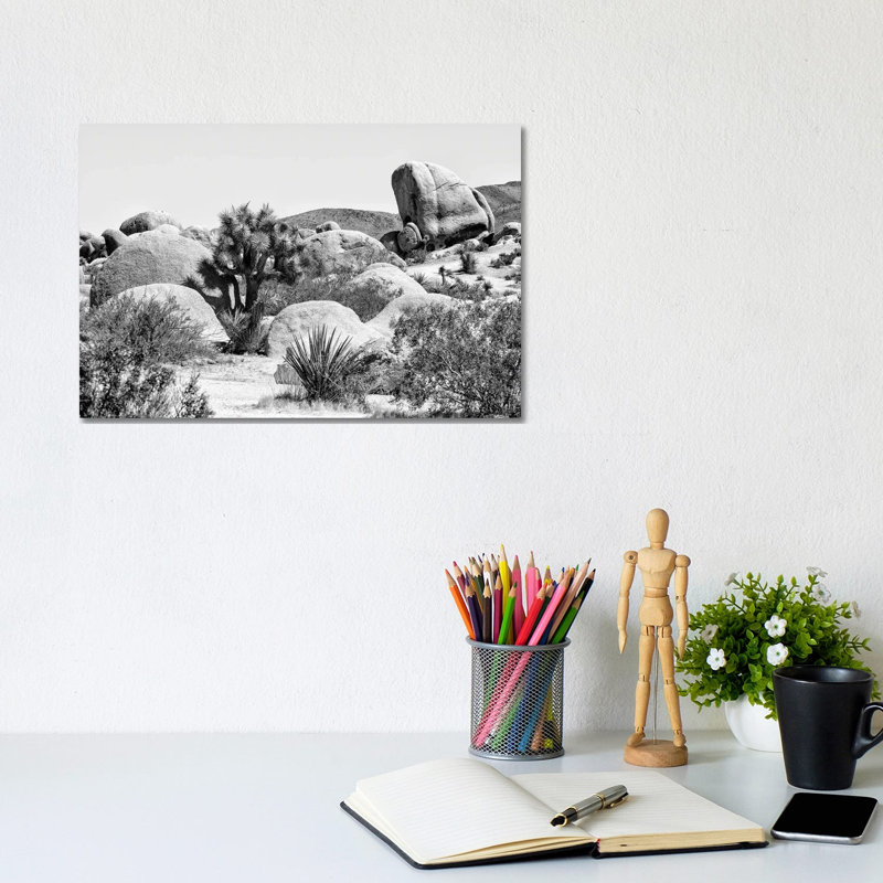 Black California Series - Joshua Tree National Park V - Wrapped Canvas Print, 20.32 cm H x 30.48 cm W