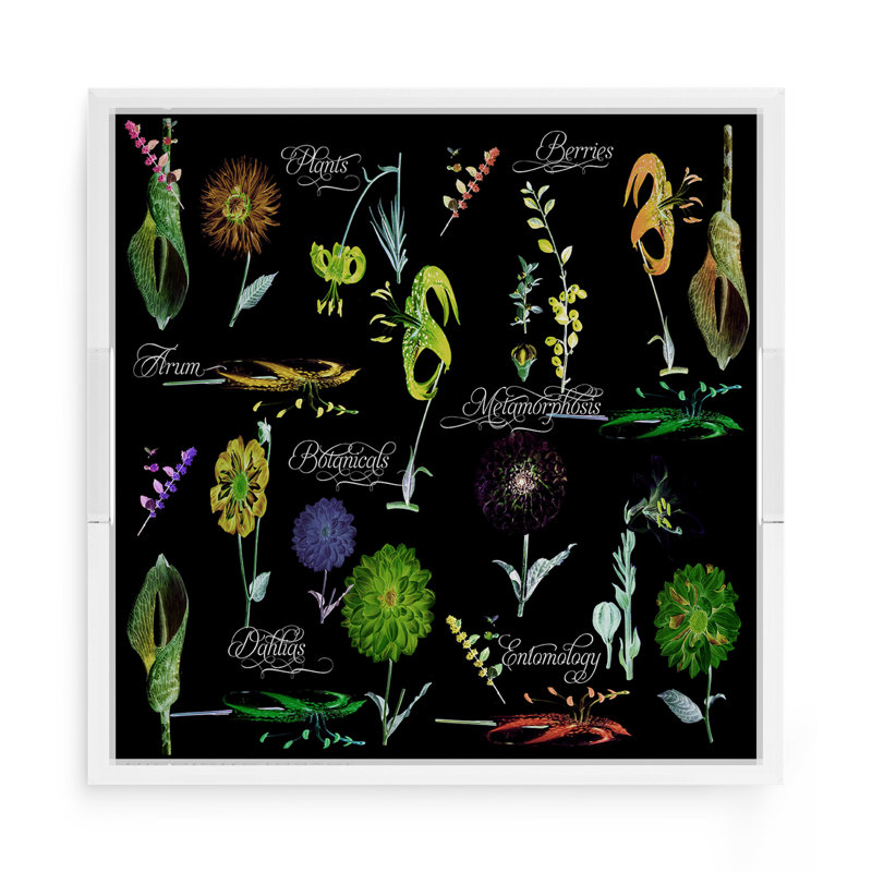 Plateau décoratif carré en acrylique Botanicals Xray, Vert, L 15 po x P 15 po x H 2 po