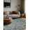 Machine Washable Gray Area Rug