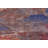 Treshad Wool Oriental Indoor Rug