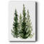 Simple Evergreen II sur toile-67648836