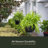 Wetumka Hanging Planter-930531028-930531029