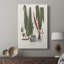 Botanical Society Ferns IV - Gallery Cavas